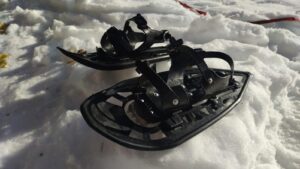 Raquetas de nieve