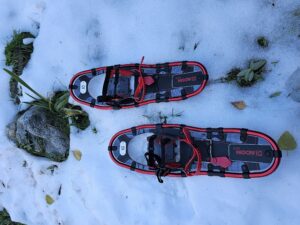 Raquetas de nieve