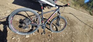 Bicicleta